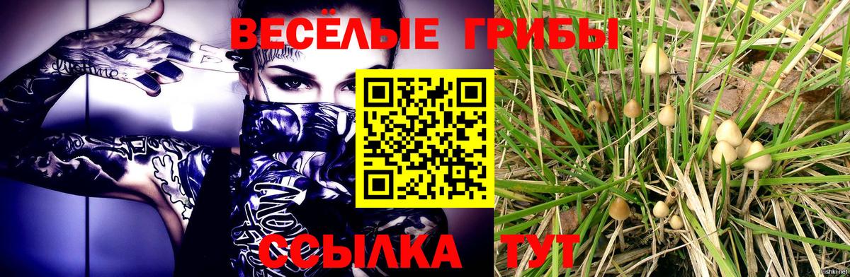 Мариинск  Псилоцибиновые грибы прущие грибы  дарнет шоп  Вход с VPN 